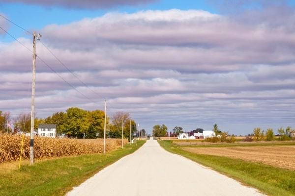 Rural road, farmhouses, and corn in Central Illinois